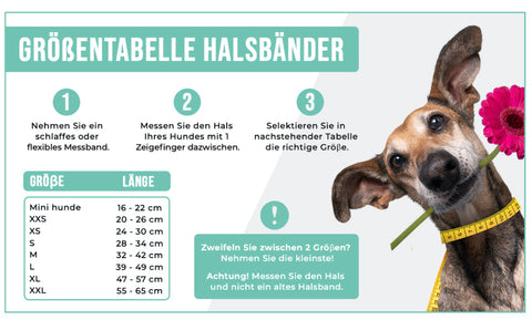 Größentabelle Halsbänder DWAM - Dog With A Mission