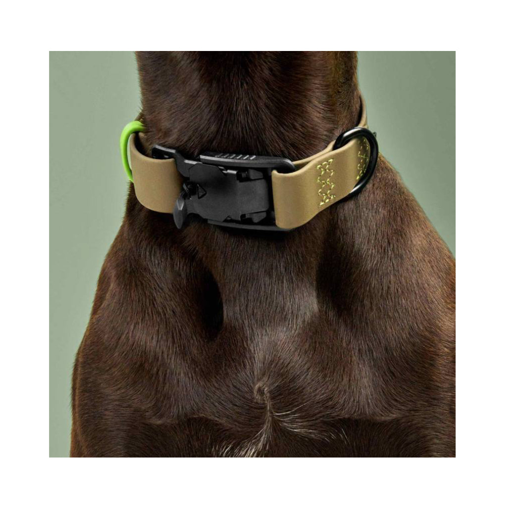 Orbiloc® Dog Dual LED Hundesicherheitslicht wasserdicht - LOVIN'DOG