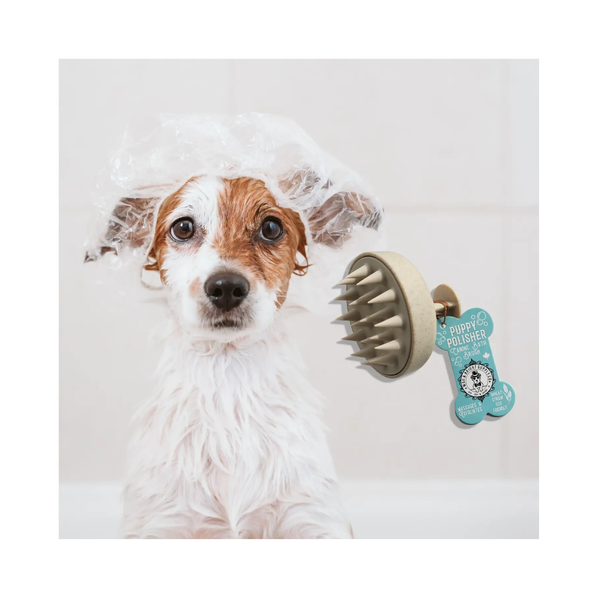 Hund mit Puppy Polisher Shampoo-Bürste - Wag & Bright Supply Co.