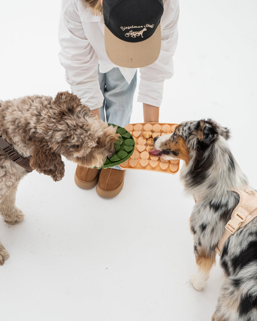 Sage Green Silicone Snuffle Mat – dexypaws