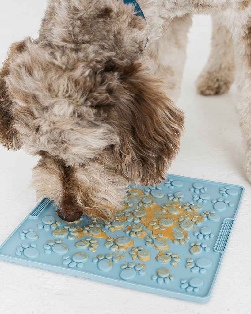 Everything you need to know about lick mats for dogs – Doggy Grub