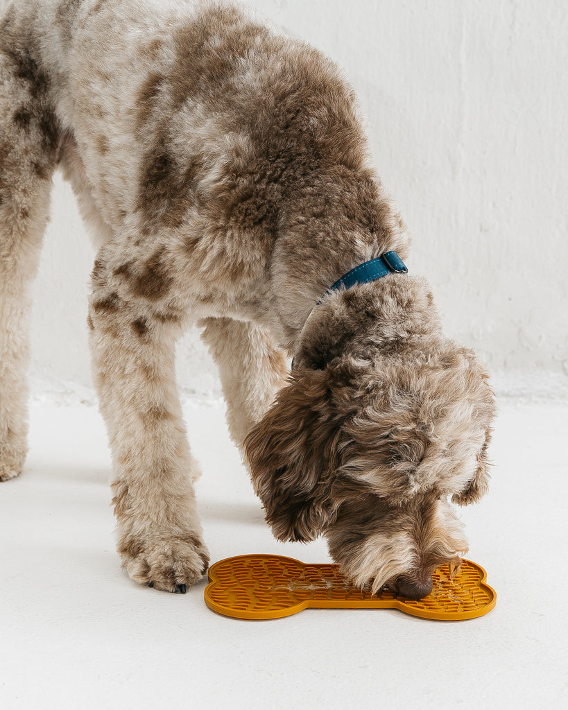 ELYSIAN Magazine  Licking Mats: Give Your Pup a Break