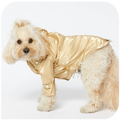 9.	Sebastian Says Raincoat in Gold
