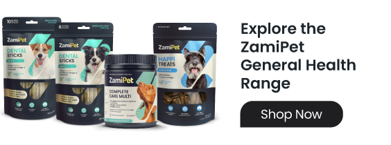 Image of ZamiPet supplements, treats and dental sticks to support General Dog Health. Click to shop the range. 