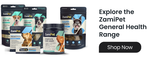 Image of ZamiPet supplements, probiotics, treats and dental sticks to support General Dog Health. Click to shop the range. 