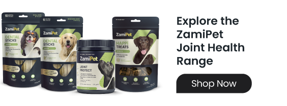 Image of ZamiPet Joint Health supplements, treats and dental sticks. Click to shop the range. 