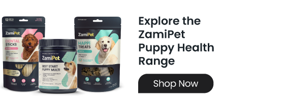 Image of ZamiPet Puppy supplements, treats and dental sticks. Click to shop the range. 
