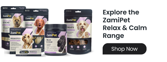 Image of ZamiPet Relax & Calm supplements, probiotics, treats and dental sticks. Click to shop the range. 