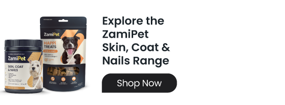 Image of ZamiPet Skin, Coat & Nails supplements and treats for dogs. Click to shop the range. 