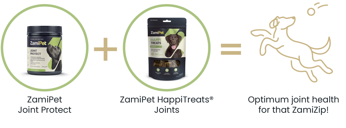 Combine ZamiPet Joint Protect premium health supplement with ZamiPet HappiTreats Joints for optimum joint health of your dog. 