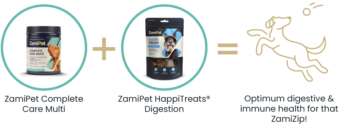 Diagram explaining how to use ZamiPet HappiTreats in conjunction with ZamiPet Supplements. Feed ZamiPet Supplements with morning and/or evening meals. ZamiPet HappiTreats can be use any time during the day, between main meals (according to feeding guide).