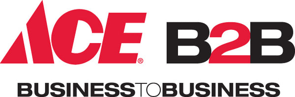 ACE B2B Business 2 Business logo