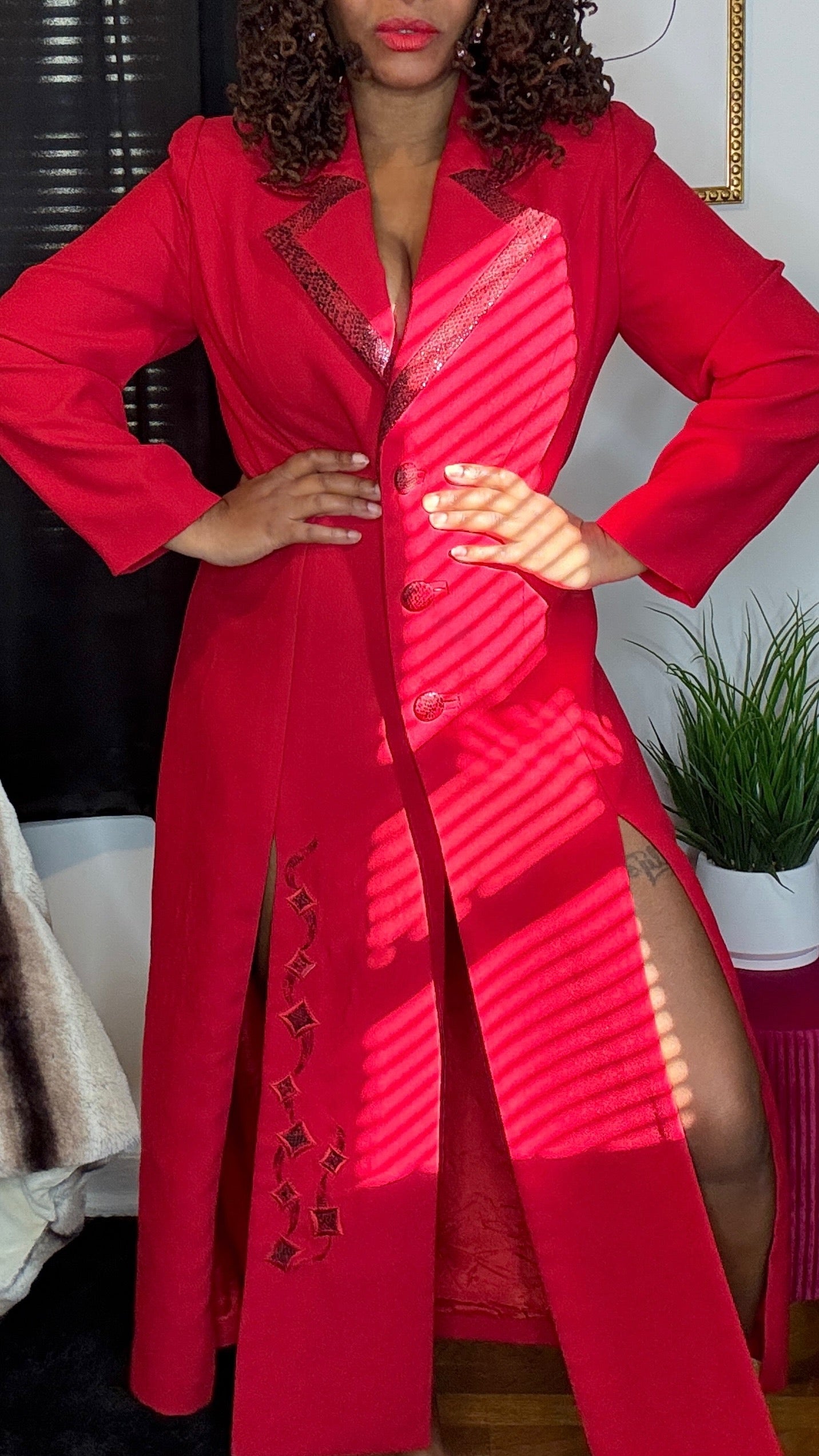 Slithering Red Jacket/Dress