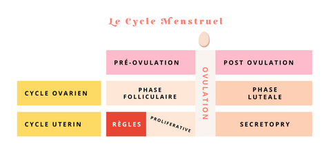 Peachyness - Qu'est-ce que le cycle menstruel