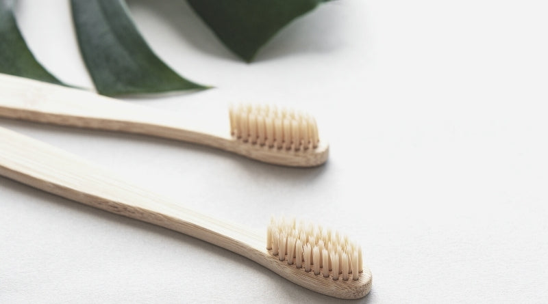 Bamboo Toothbrush - 30 way to go plastic-free - Clan Earth