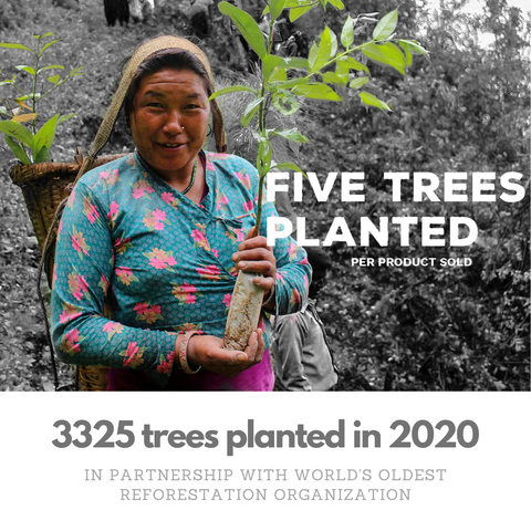 Tree planting brands