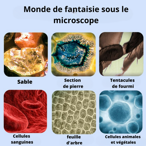 MICROSCOPE PORTATIF POUR ENFANTS - MICROPOCHE BERDAQUEBEC™