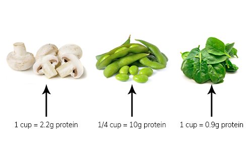 Not All Veggies are Created Equal – 10 Protein-Packed Veggies that Build Muscle