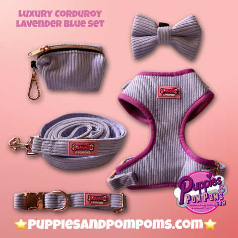Corduroy Pink Luxury Dog Accessory Set – Mixed Breed