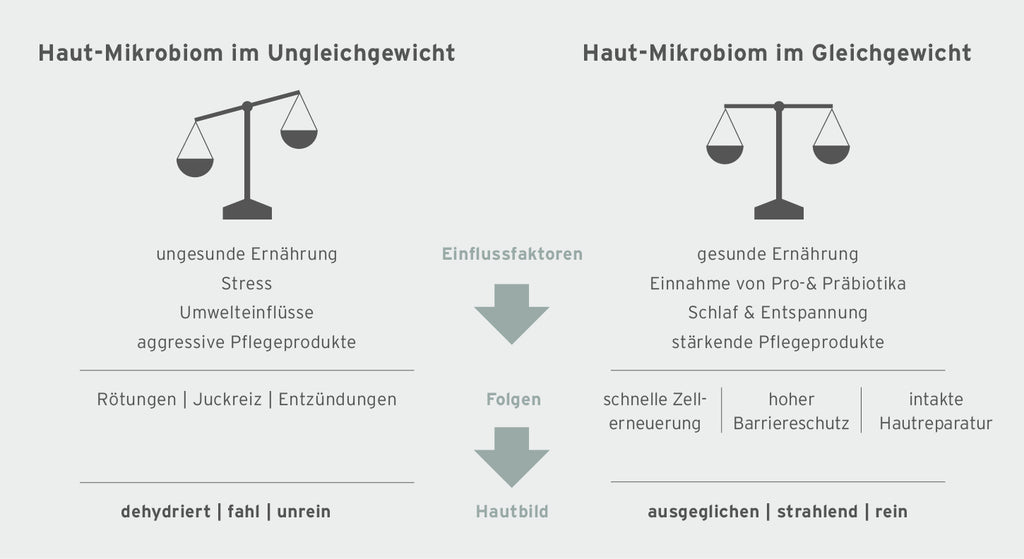 Infografik zu den Einflussfaktoren des Haut-Mikrobioms.