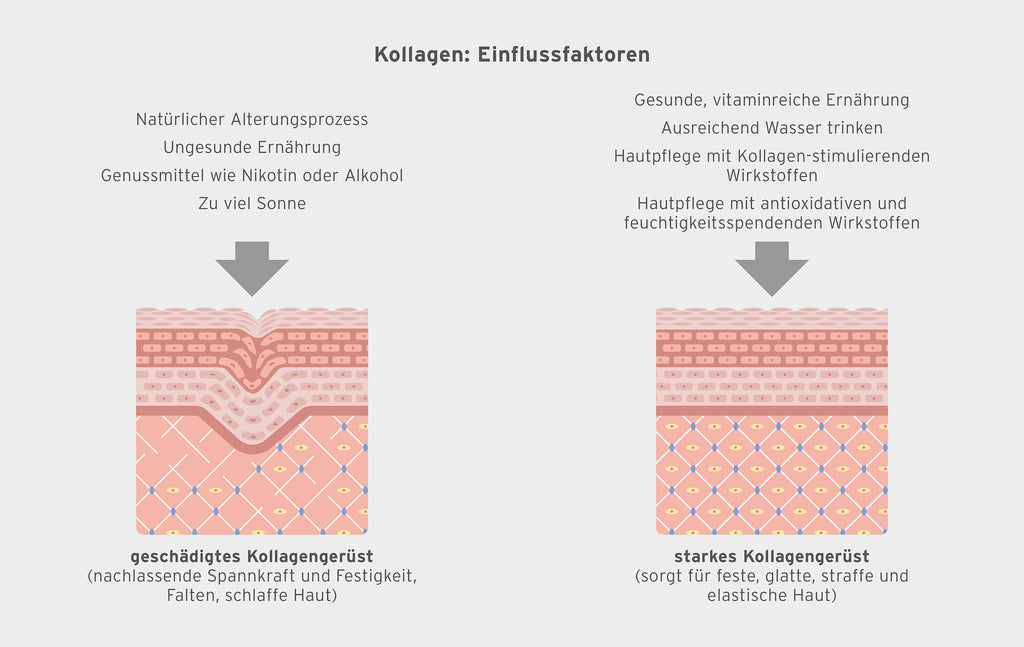 Infografik zu Kollagen Einflussfaktoren.