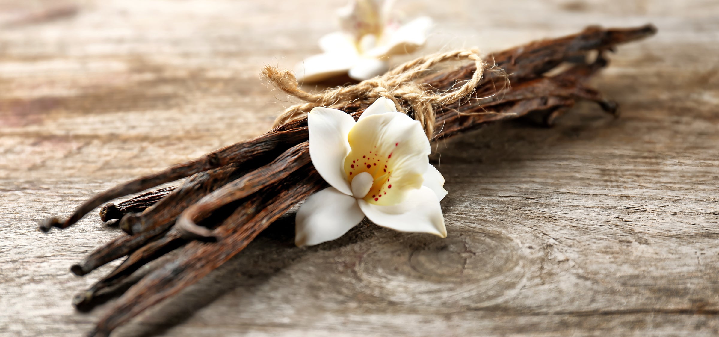 getrocknete Vanilleschoten mit Blüte