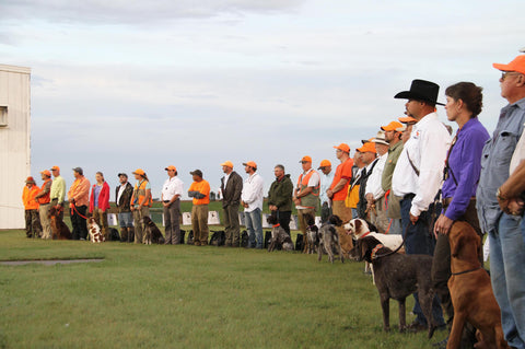 The American Kennel Club, American Field, and National Retriever Club sponsor most of the national field trials