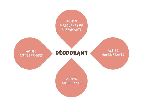 4 actifs d'un déodorant : nourrissant, antiseptique, masquant ou parfumant et absorbant