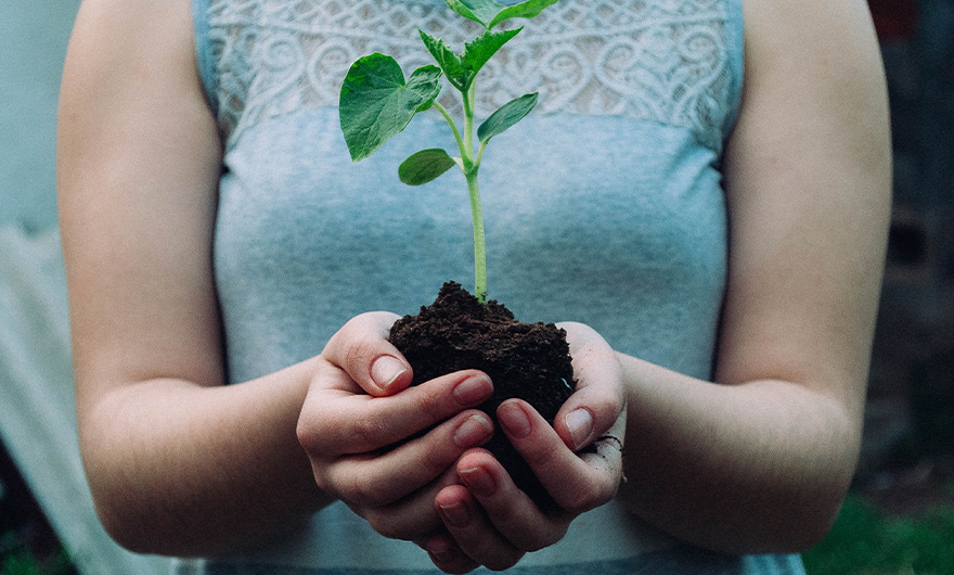 Woman in blue shirt holding plant with soil 