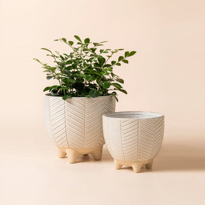 Ceramic Flower Pot Planter - 6.7+5.5 inch Concave Dot Patterned Cylinder Flower Pot with Drain Hole for Indoor, Set of 2, Ivory La Jolie Muse