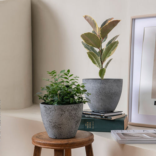 Rock Gray Pots Set of 3 - Plastic Planter