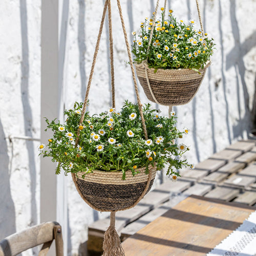 Seagrass Planter Basket Indoor Outdoor, Flower Pots Cover, Plant Pots Containers, Natural, 10 inch La Jolie Muse