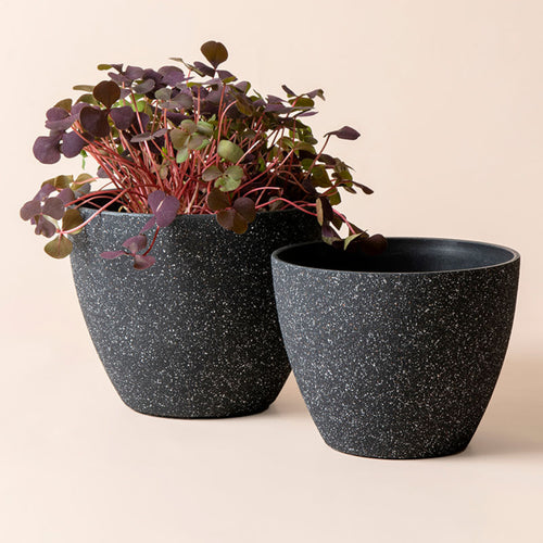 Rock Gray Pots Set of 3 - Plastic Planter