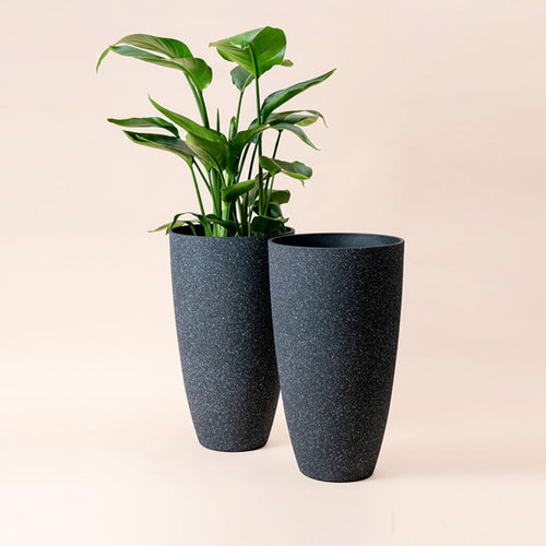 https://cdn.shopify.com/s/files/1/0536/9312/0666/products/Speckled-Black-Tall-Pots-Two_500x.jpg?v=1642496398