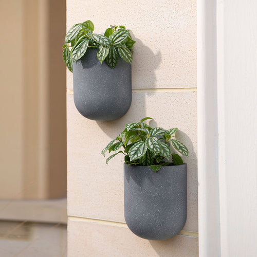 Speckled White Pots Set of 2 - Wall Planter – LA JOLIE MUSE