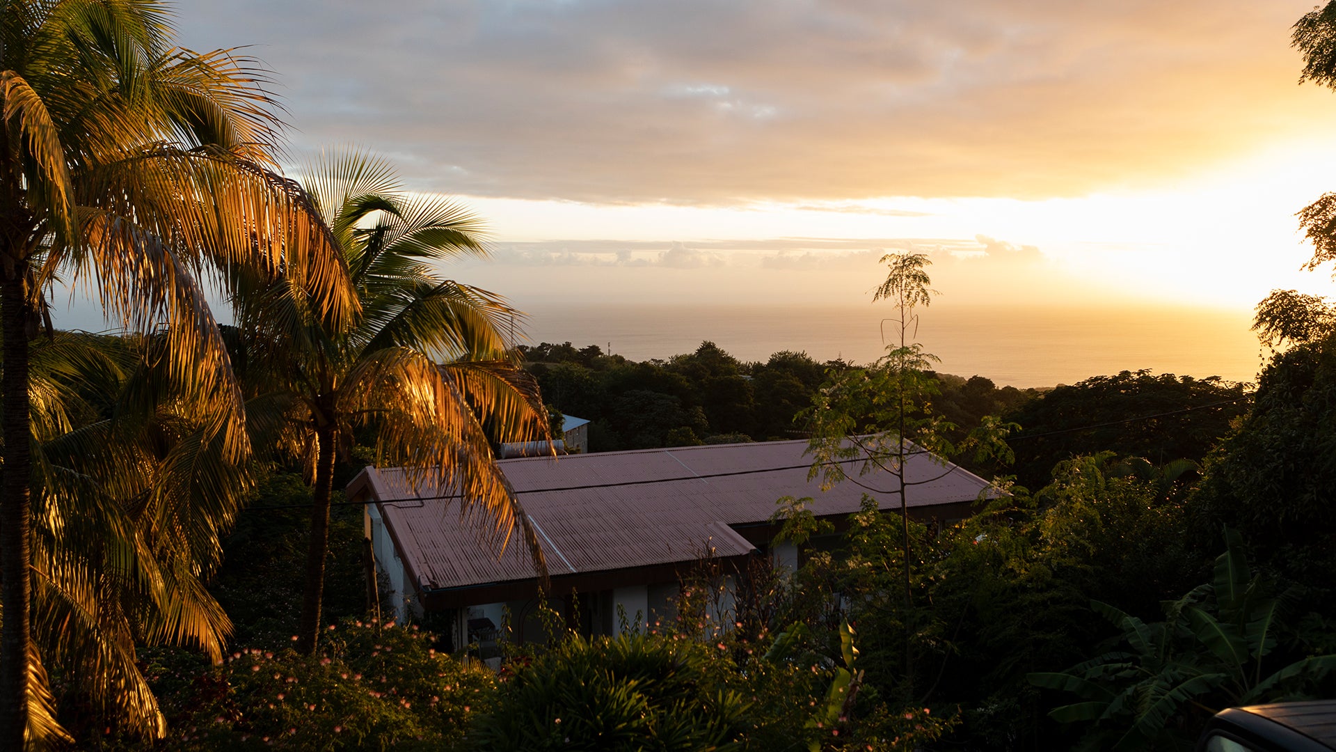 Martinique during sunrise. Photo by Jess Bernard