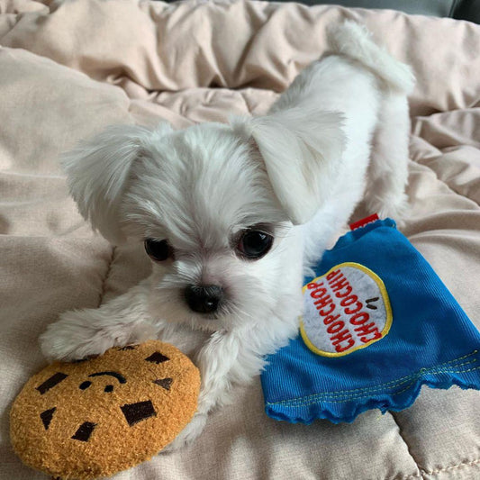 https://cdn.shopify.com/s/files/1/0536/9741/3293/products/Chocolate-Chip-Cookie-Plush-Dog-Toy.jpg?v=1660154876&width=533