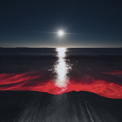 red sea underneath the moon