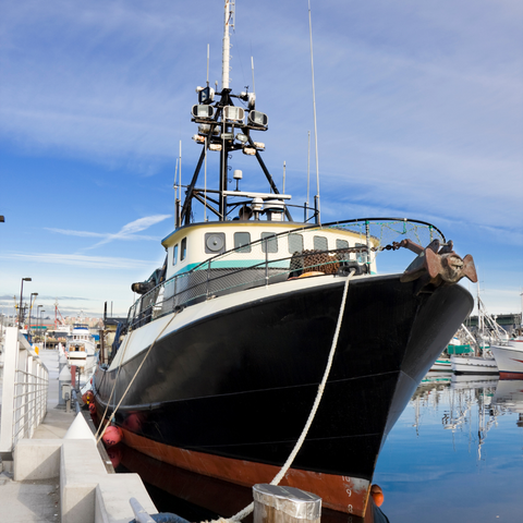 Bering Sea Crab Fishing Boat | Real Aquatics