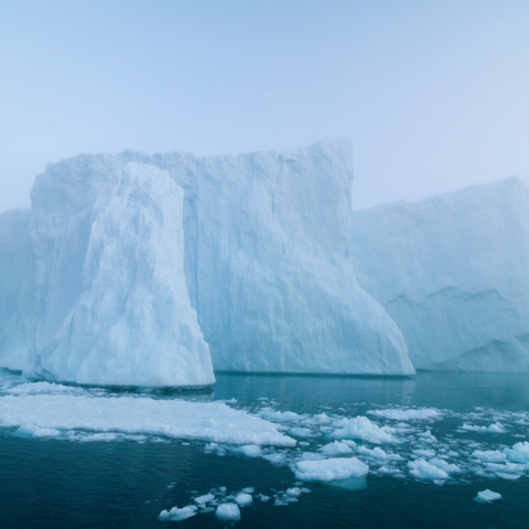 Arctic Ocean | Real Aquatics