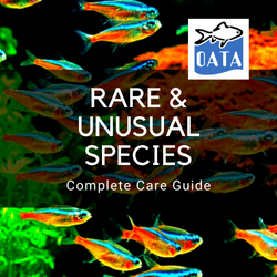 OATA Guide to rare species...