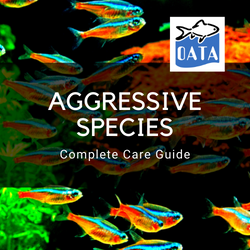 OATA Guide to aggressive species