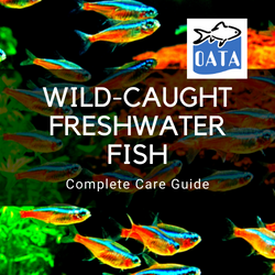 OATA Guide to wild caught fish