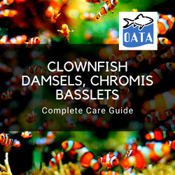 OATA Marine fish guide Clownfish...