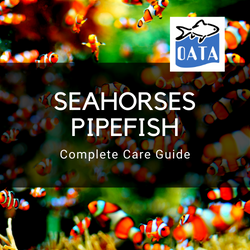 OATA Marine fish guide Seahorses...