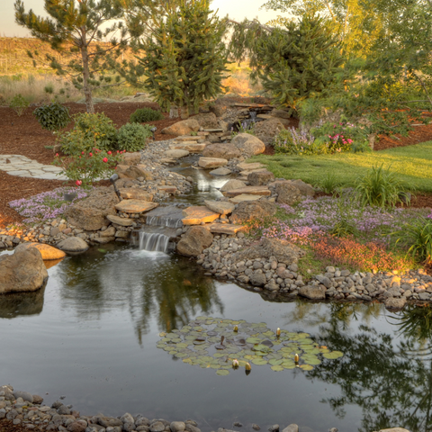 garden pond in twilight