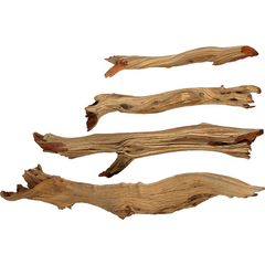 driftwood bogwood