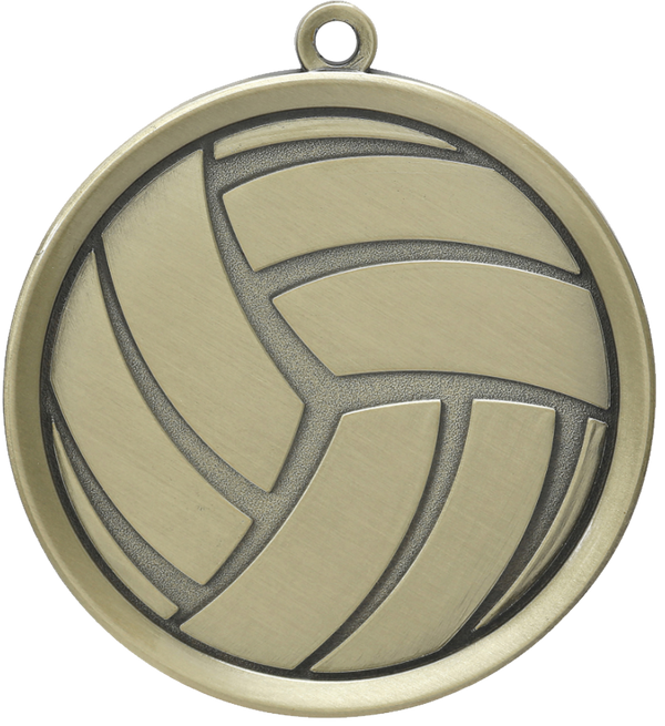premier volleyball medal