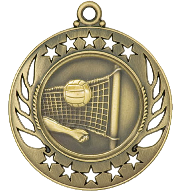 galaxy volleyball medal