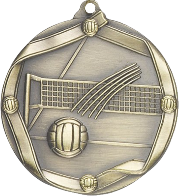 die cast volleyball medal